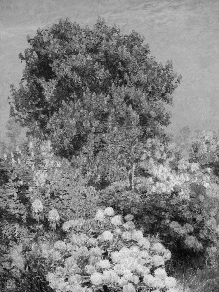 Garden In Bloom