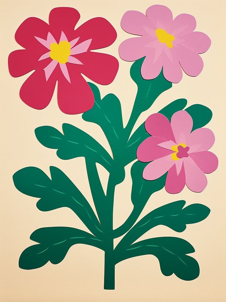 Cut Out Style Flower Art Cineraria