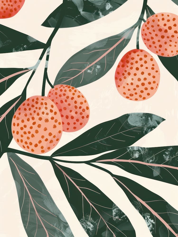 Lychee Close Up Illustration 2
