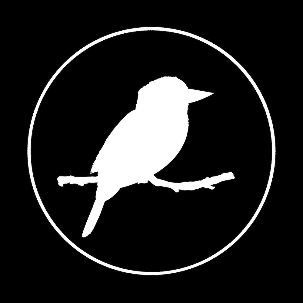 Laughing Kookaburra
