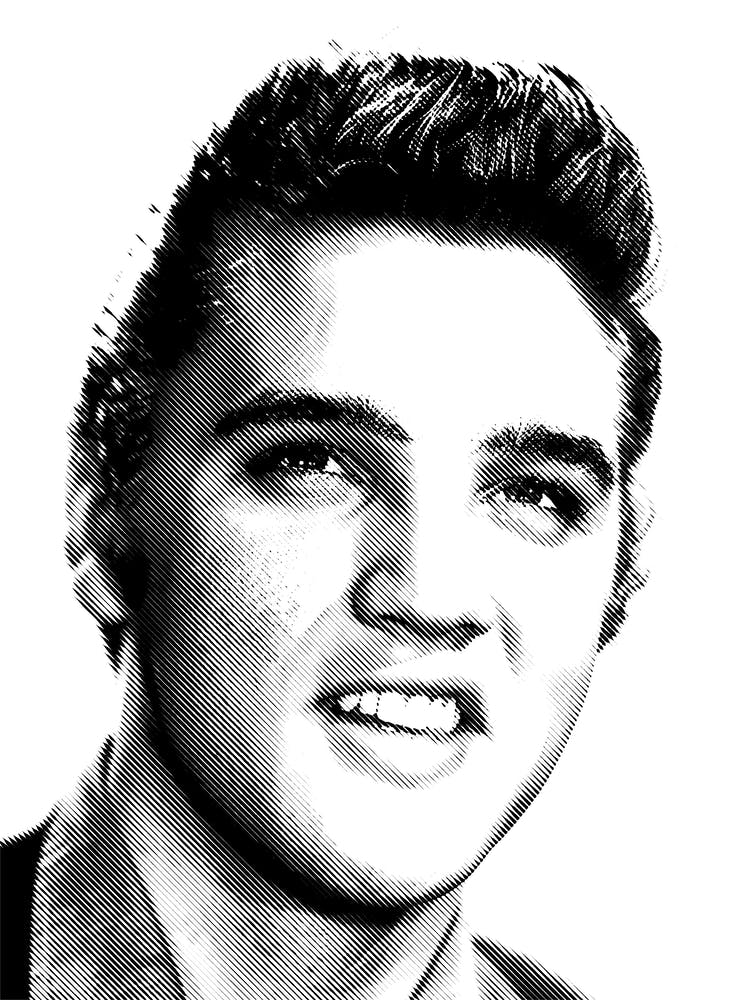 Elvis Line Illustration