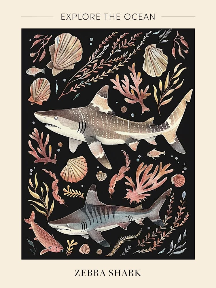 Zebra Shark Seascape Black Background Illustration 2 Poster