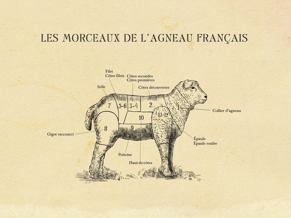 French Lamb Butcher Cuts Chart