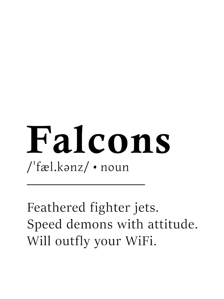 Falcons Definition Poster - Dictionary