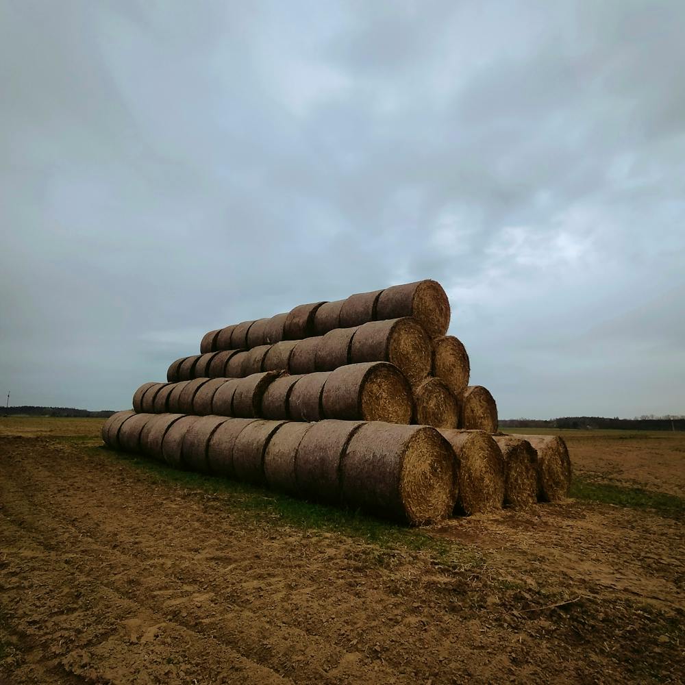 Poland rural