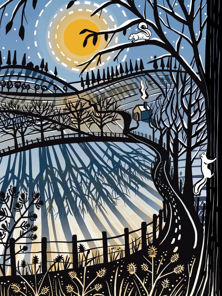 Winter Fields