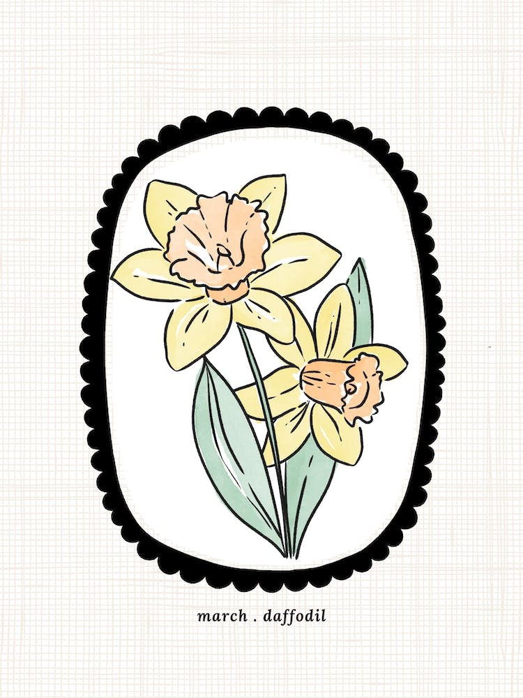 March Daffodil Birth Flower