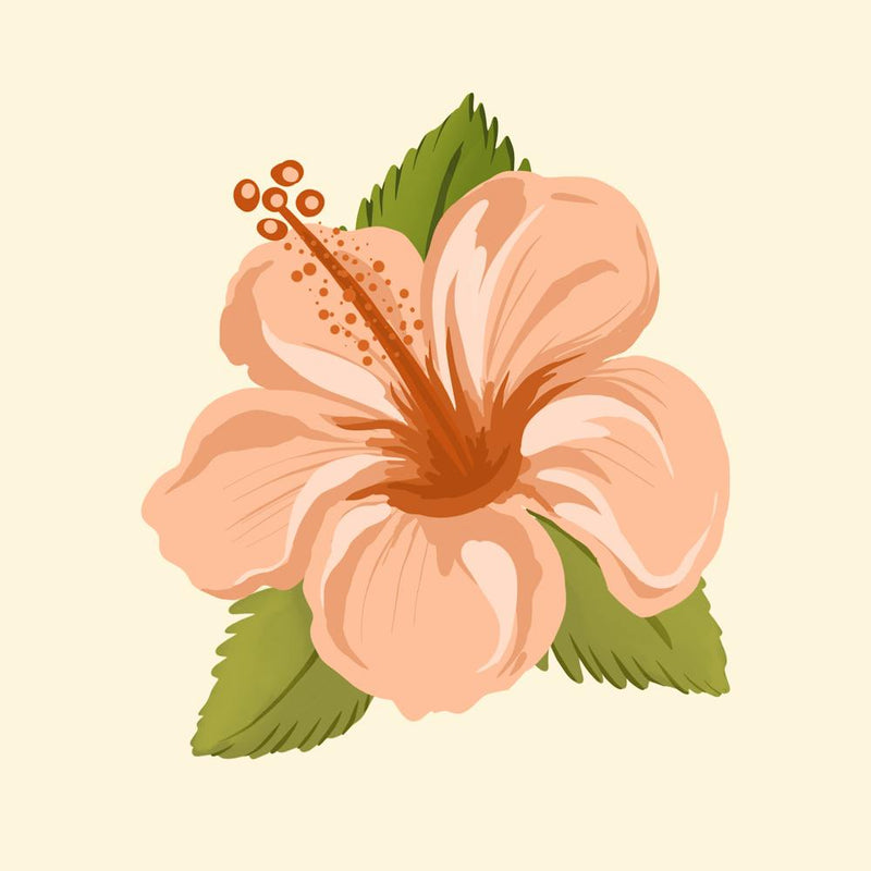 Hibiscus Flower
