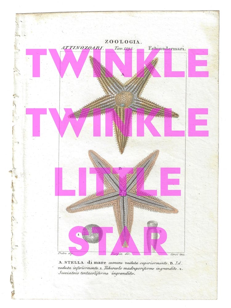Twinkle Twinkle Little Star Vintage Starfish