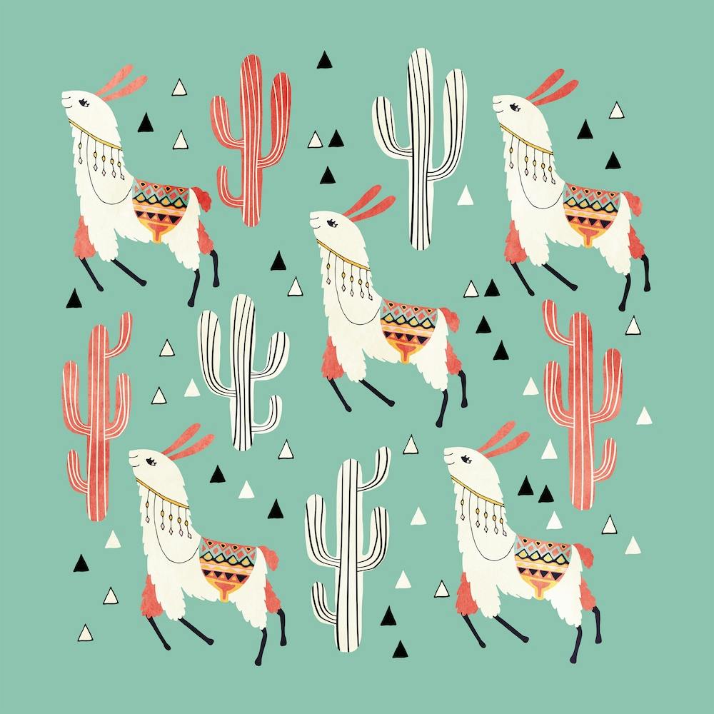 Llama In Green Desert