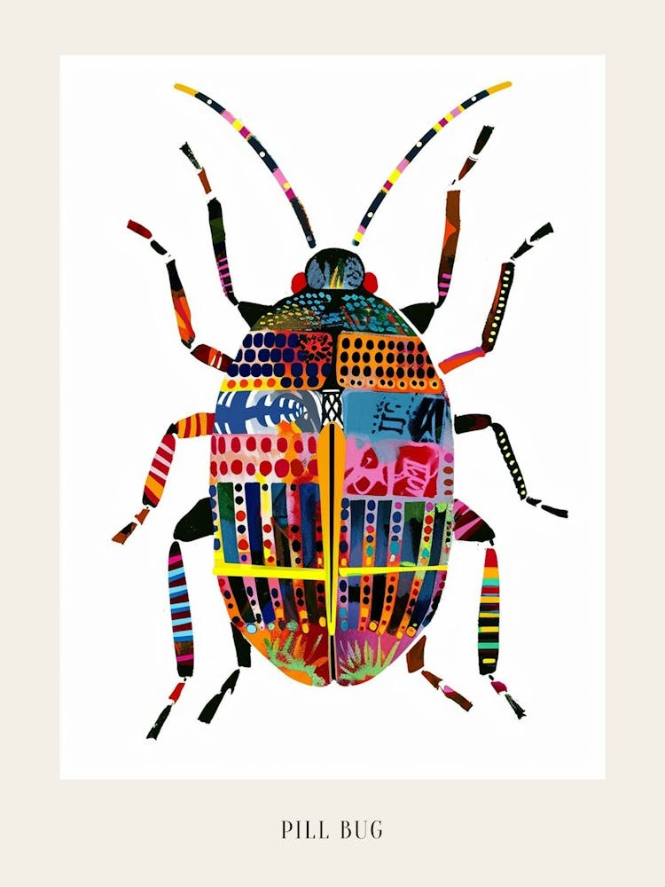 Colourful Insect Illustration Pill Bug 6 Poster