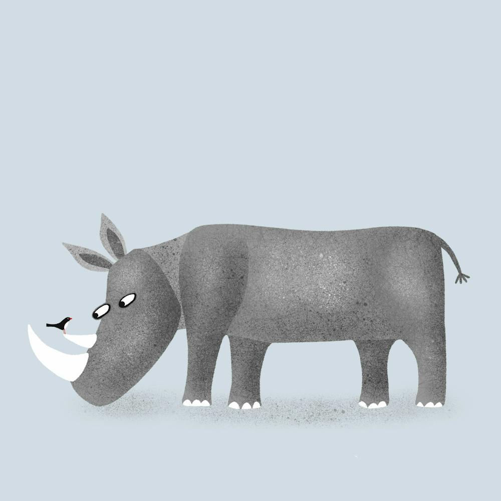 Rhino or Rhinoceros