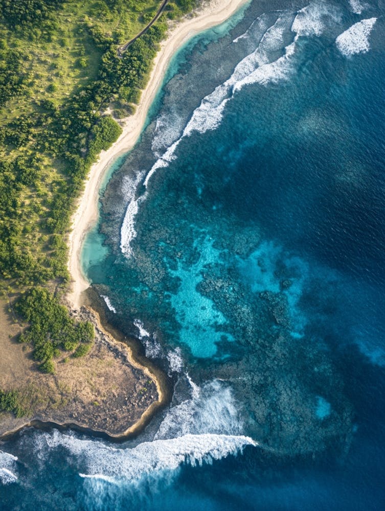 Aerial View Of A Tropical Beach 11