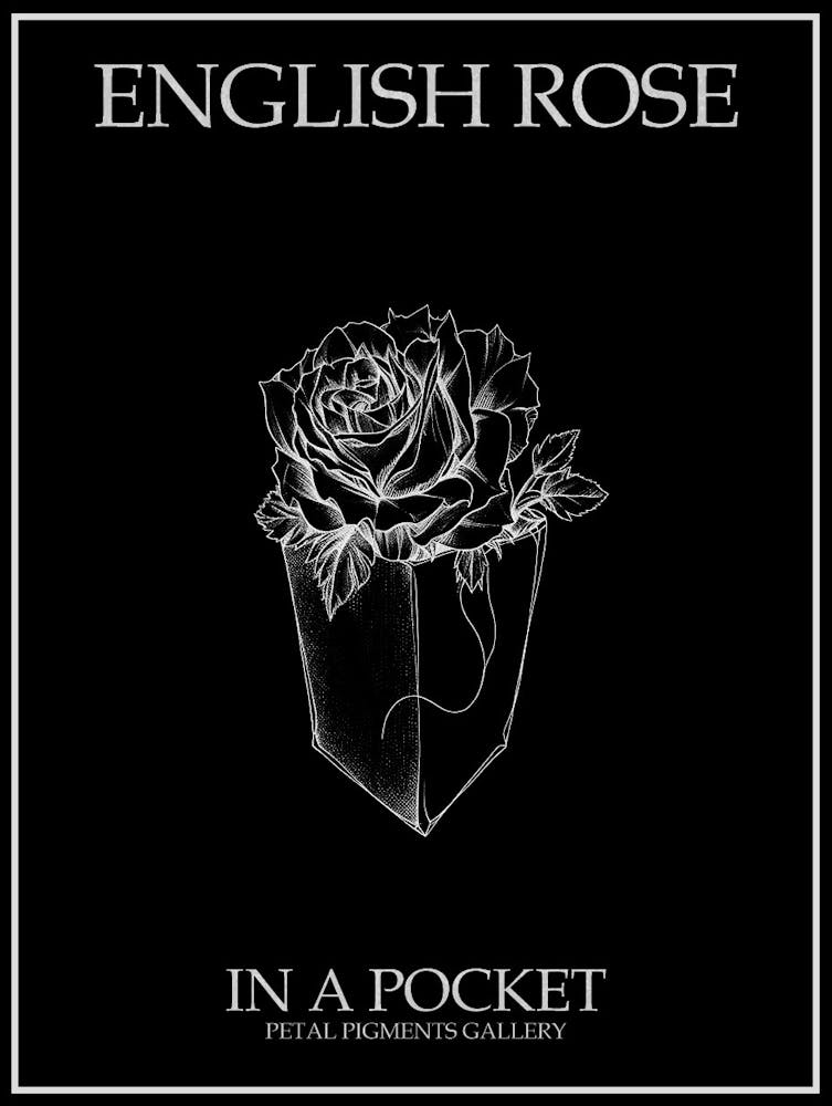 Englische Rose in einer Tasche Strichzeichnung 1 Plakat Invertiert