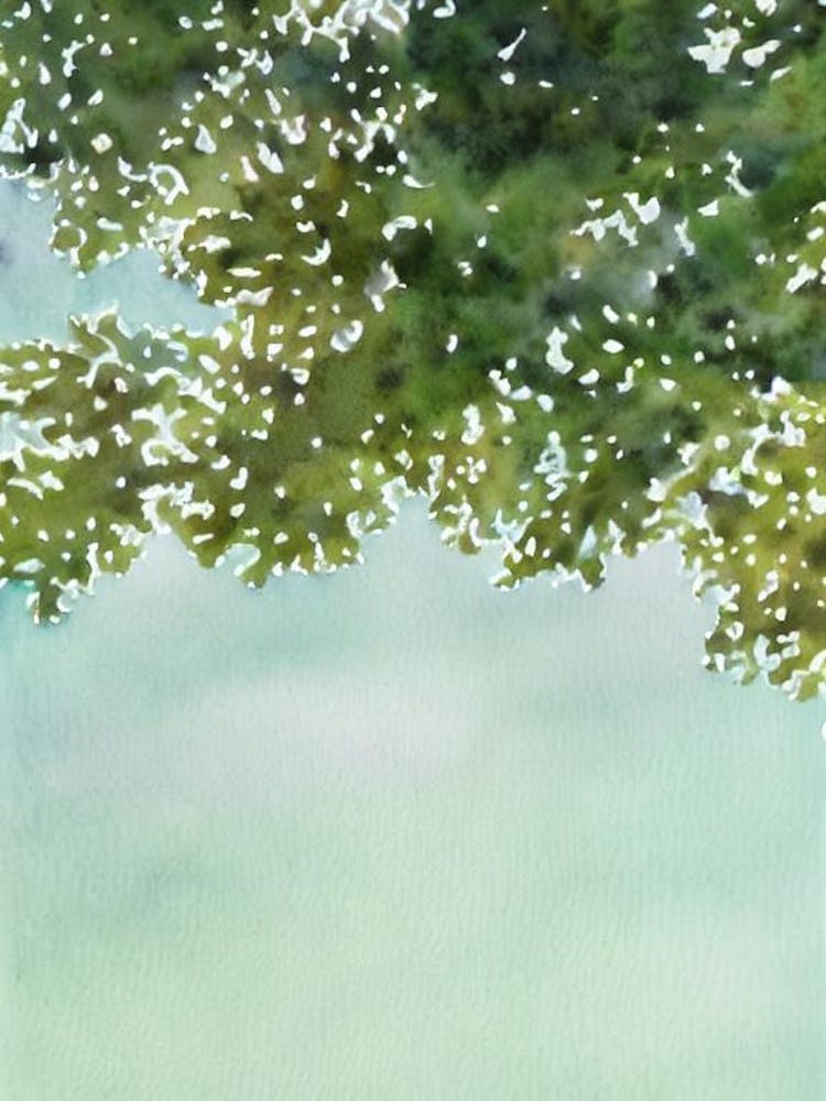 Acropora Digitifera Storybook Watercolour