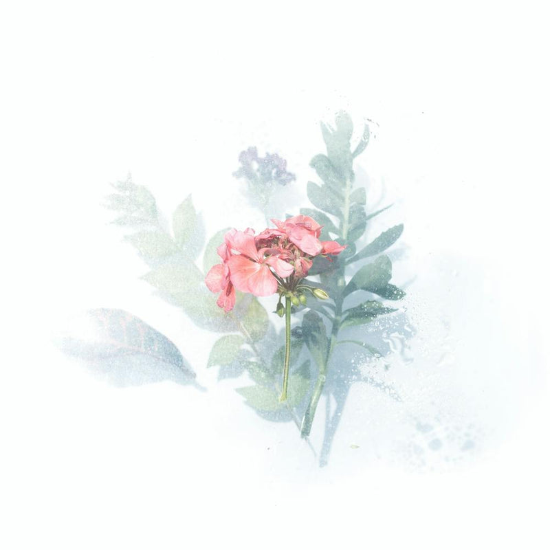 Watercolor Flowers 1