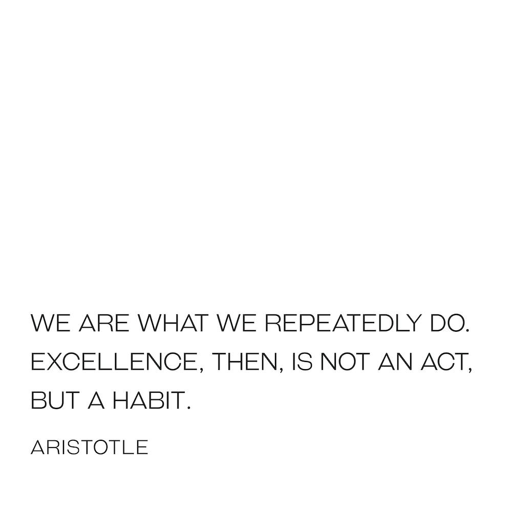 Aristoteles Exzellenz Zitat