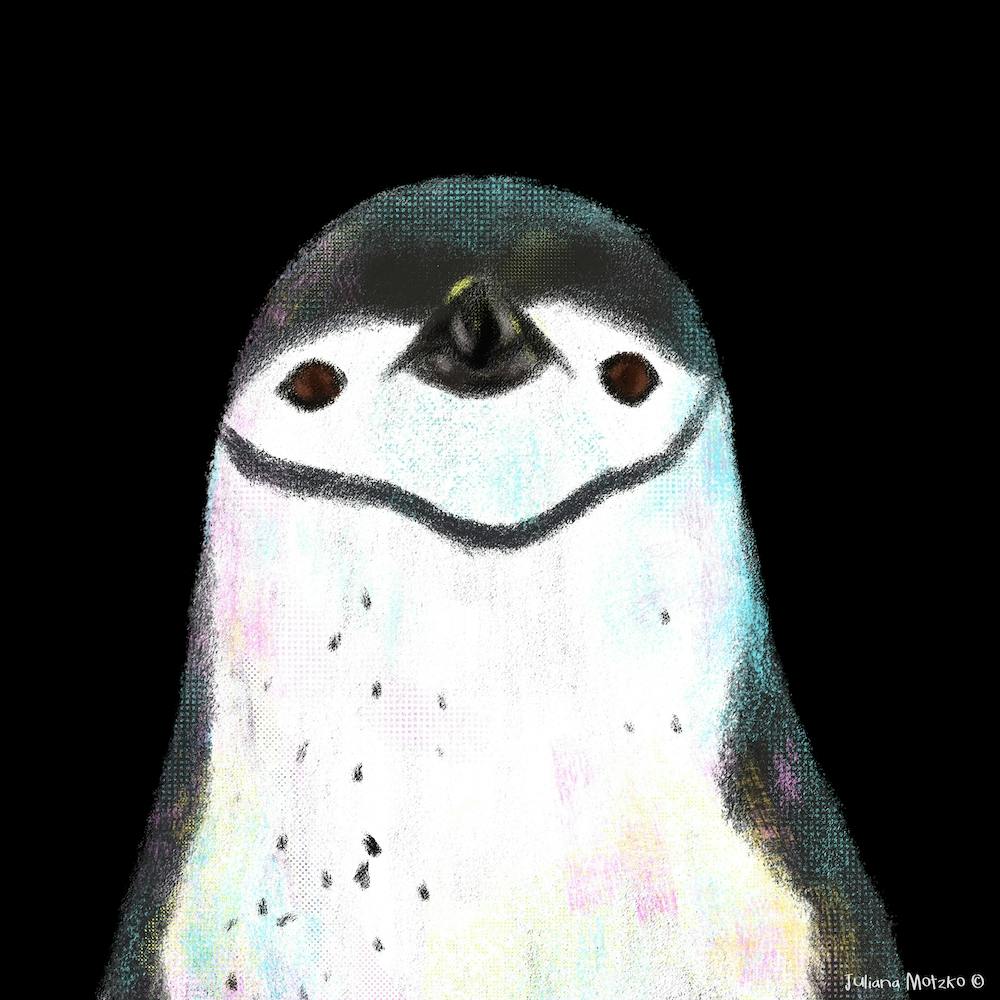 Chinstrap Penguin Square