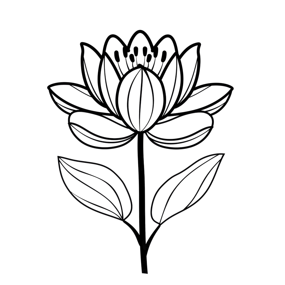 waterlily July Birth Month Flower