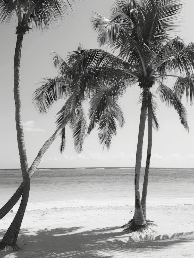 Palm Trees On The Beach 7