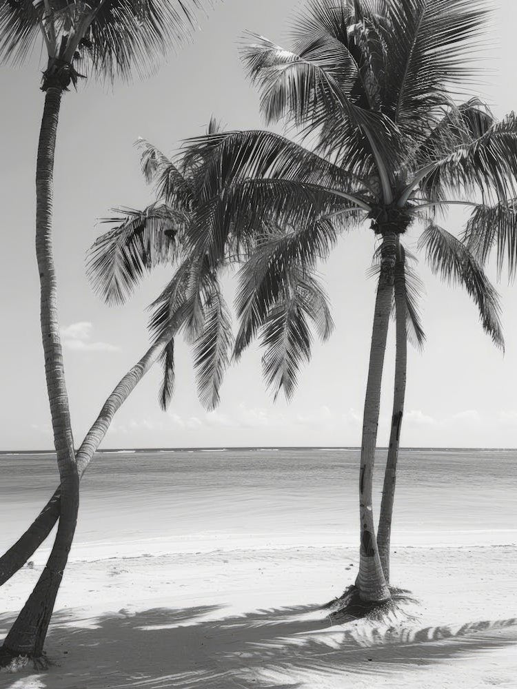 Palm Trees On The Beach 7