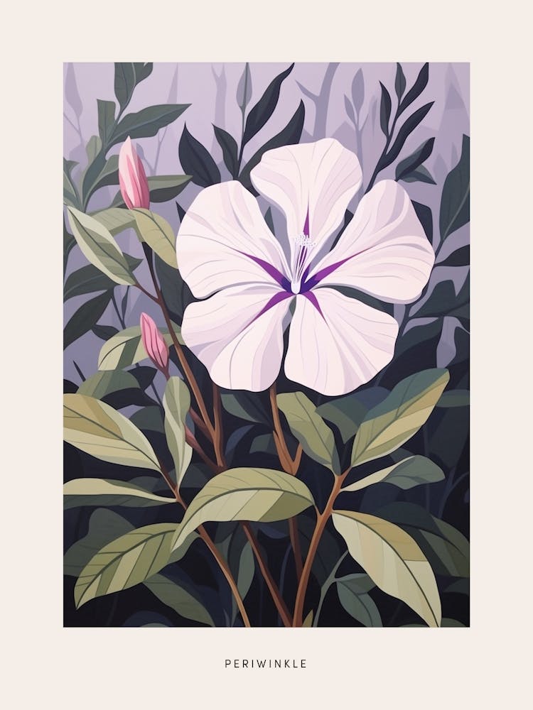 Flower Illustration Periwinkle 2 Poster