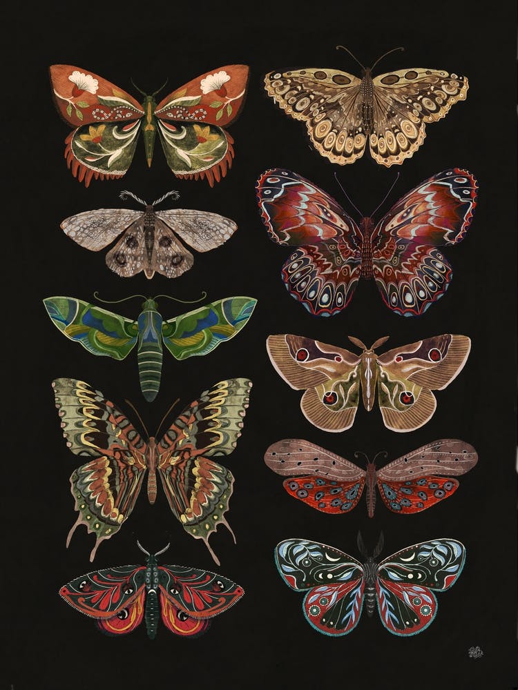 Moths And Butterflies folk art