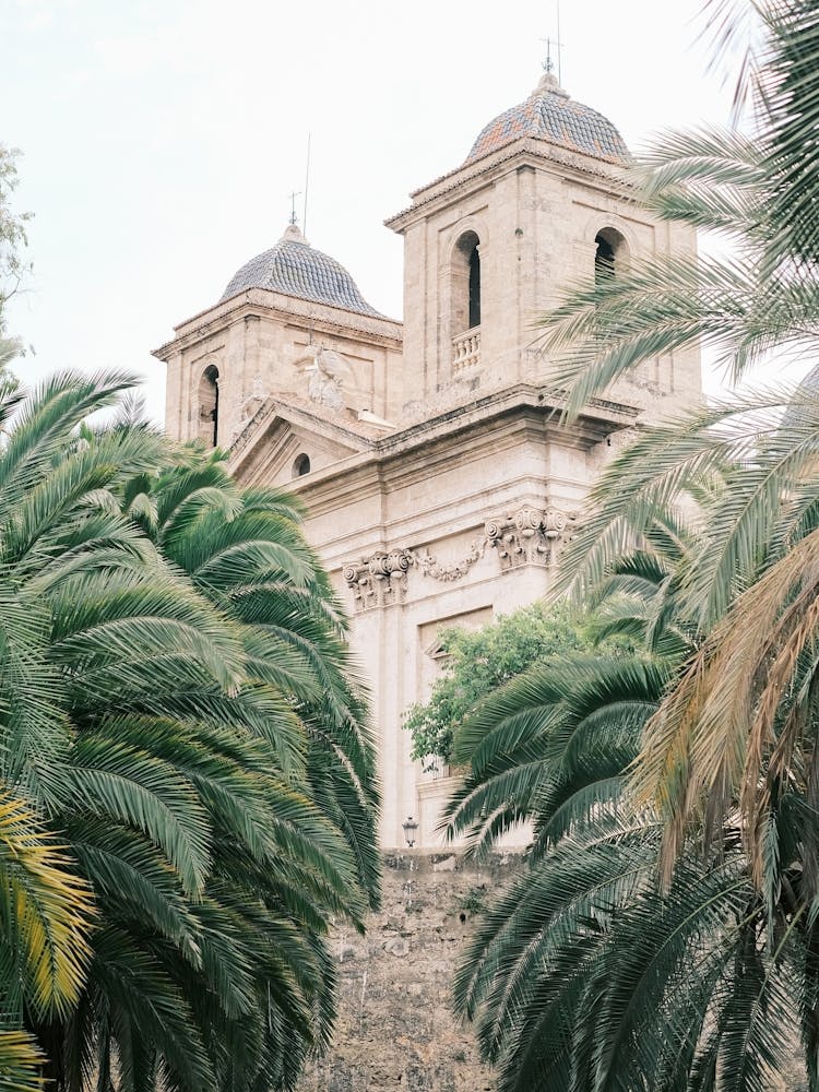 Palm Trees In Front Of A Church // Valencia, Spain, Travel Photography