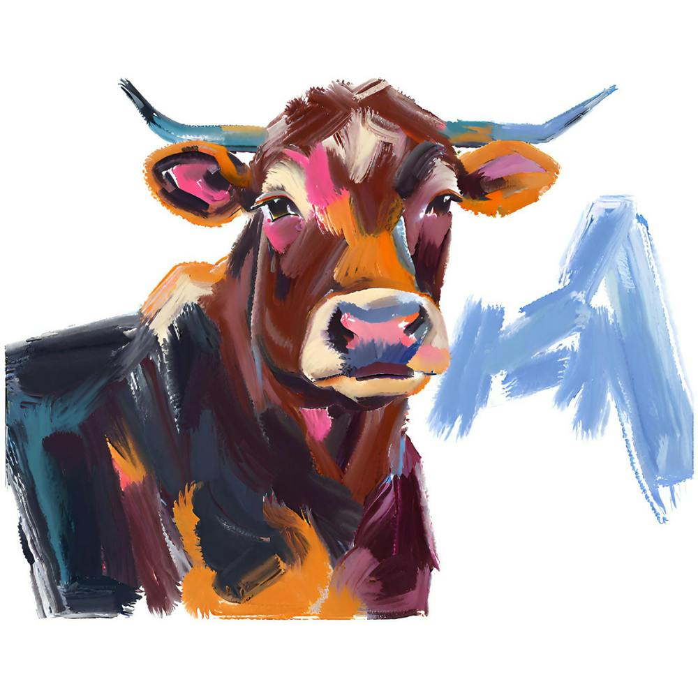 Angus Cow 02