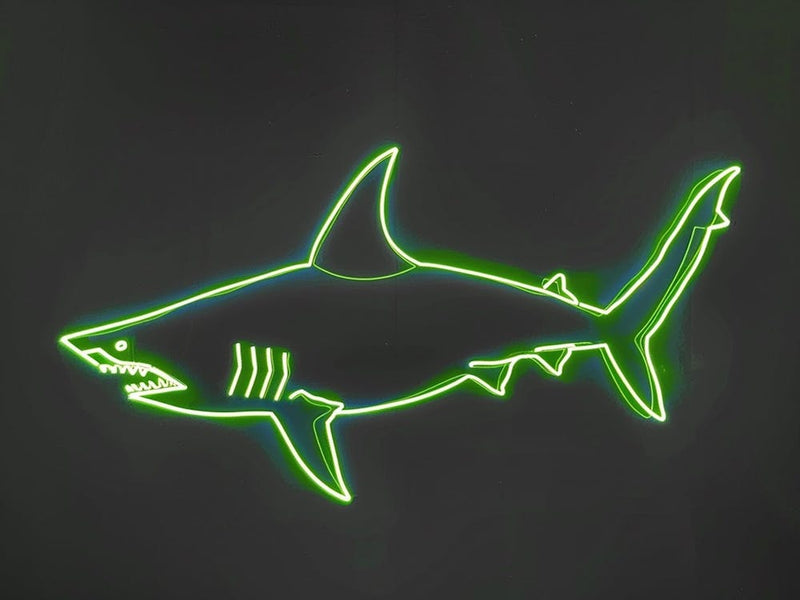 Neon Lime Dogfish Shark 5