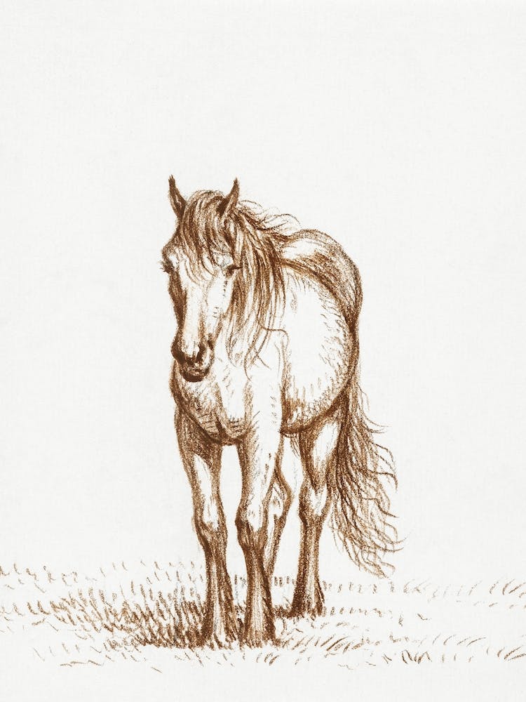 Jean Bernard 1, Jean Bernard
