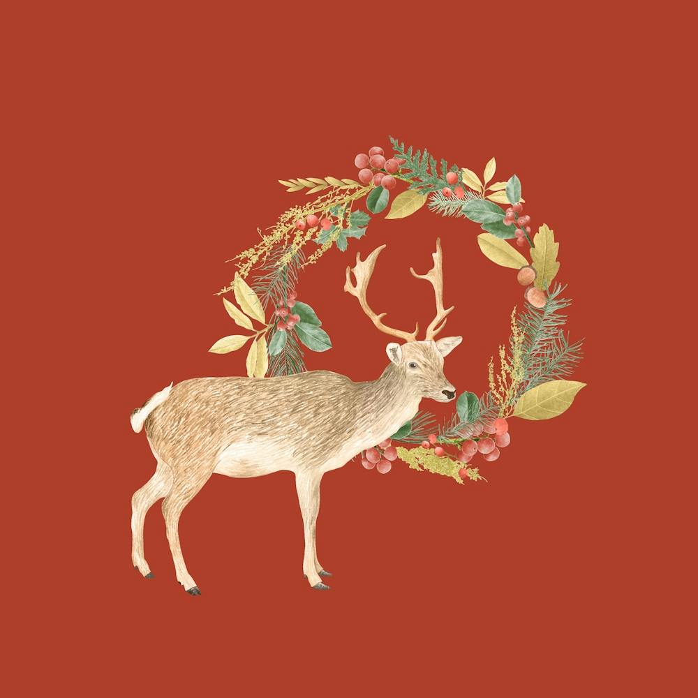 Holiday deer + wreath