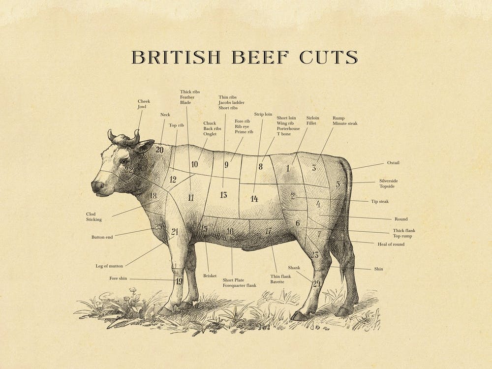 British Beef  Butcher Cuts Chart
