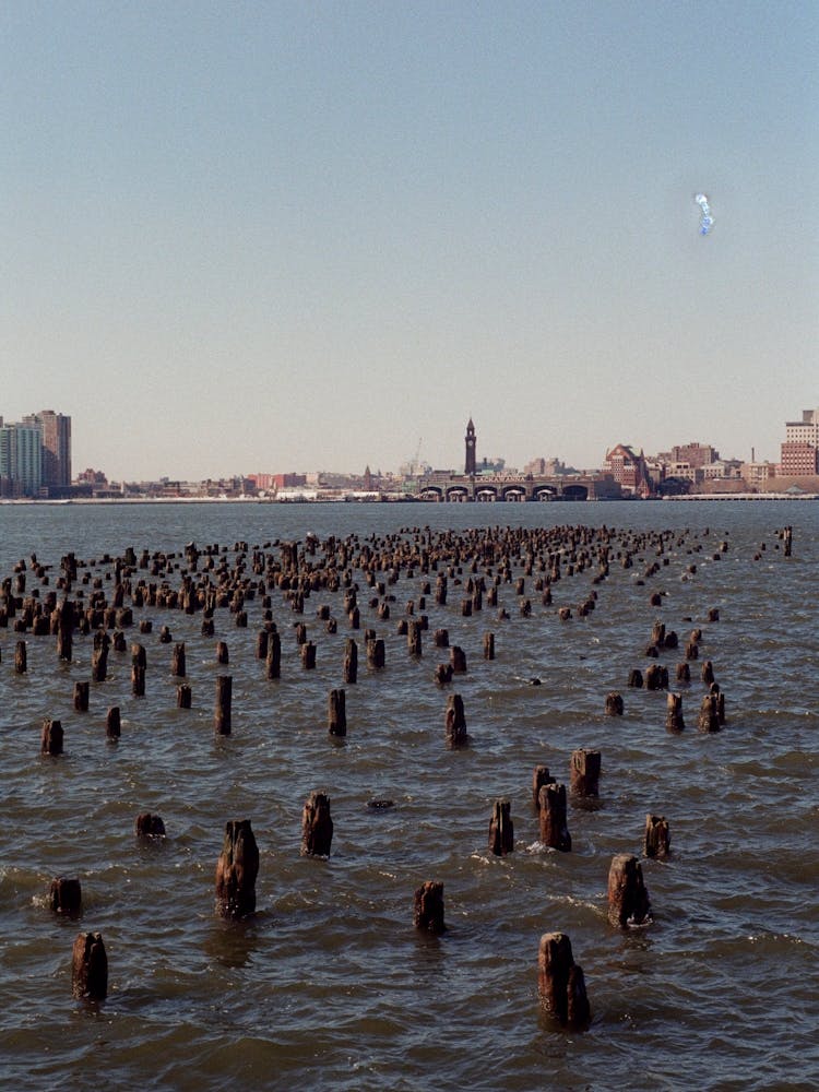 New York 001