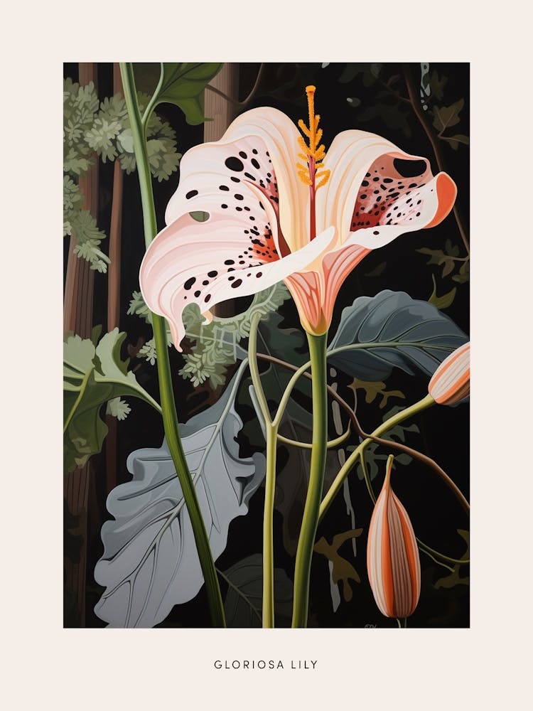 Flower Illustration Gloriosa Lily 3 Poster