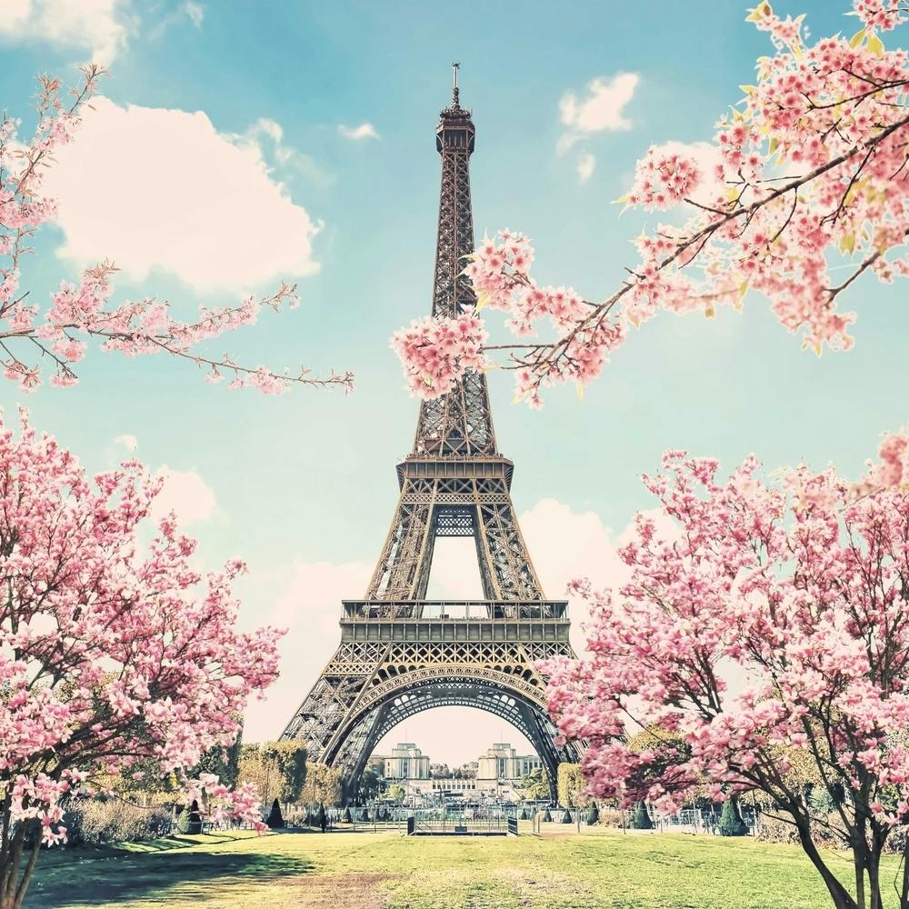 Eiffel Tower In Spring Square