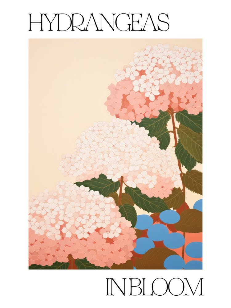 Hydrangeas In Bloom Flowers Bold Illustration 4