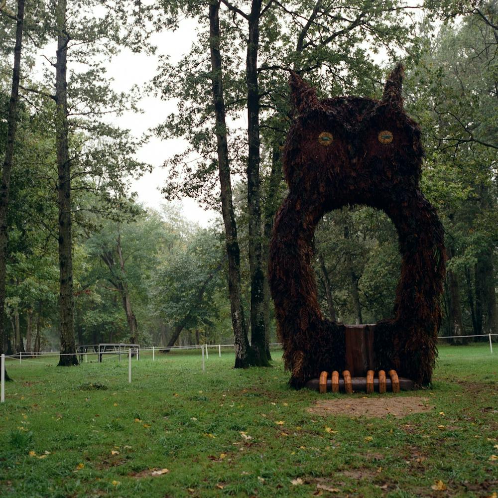 Forest Owl