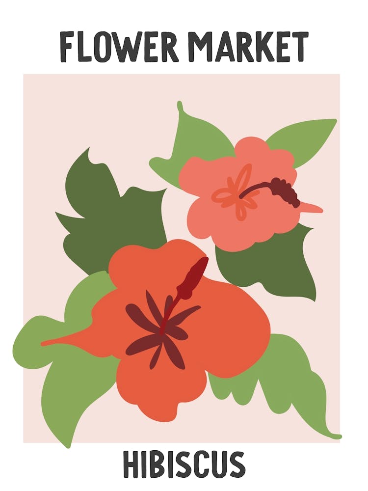 Flower Market Poster Hibiscus
