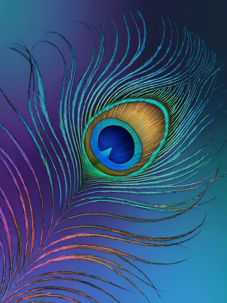 A Digital Artwork Of A Peacock Feather 
