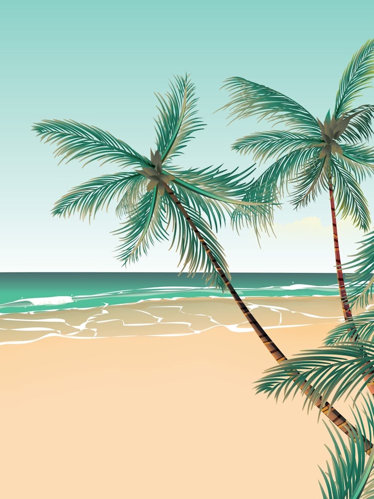 Palm Trees On The Beach