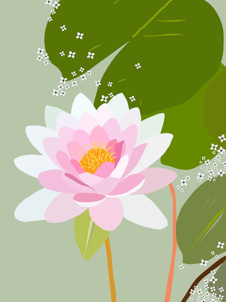 Water Lily | 02 – Green And Pink