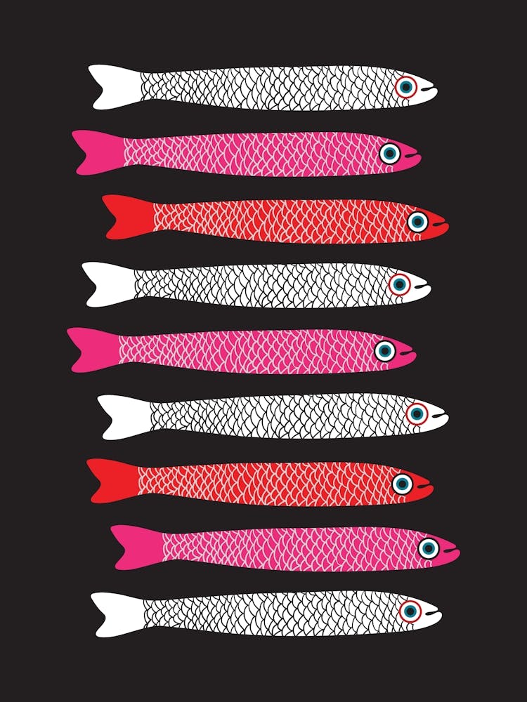 ANCHOVIES Retro Swimming Fish Horizontal in White Fuchsia Pink and Red on Black