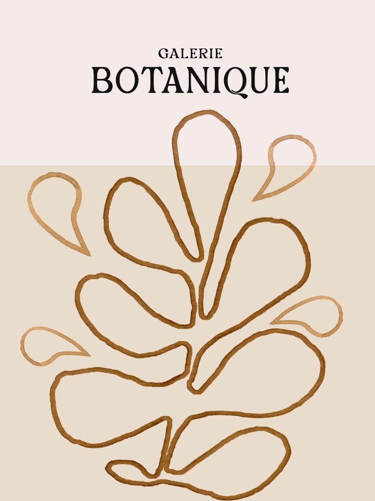 Galerie botanique no 12