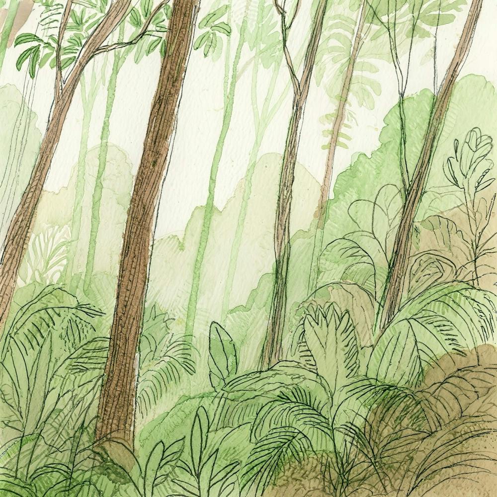 Tropical Forest 1
