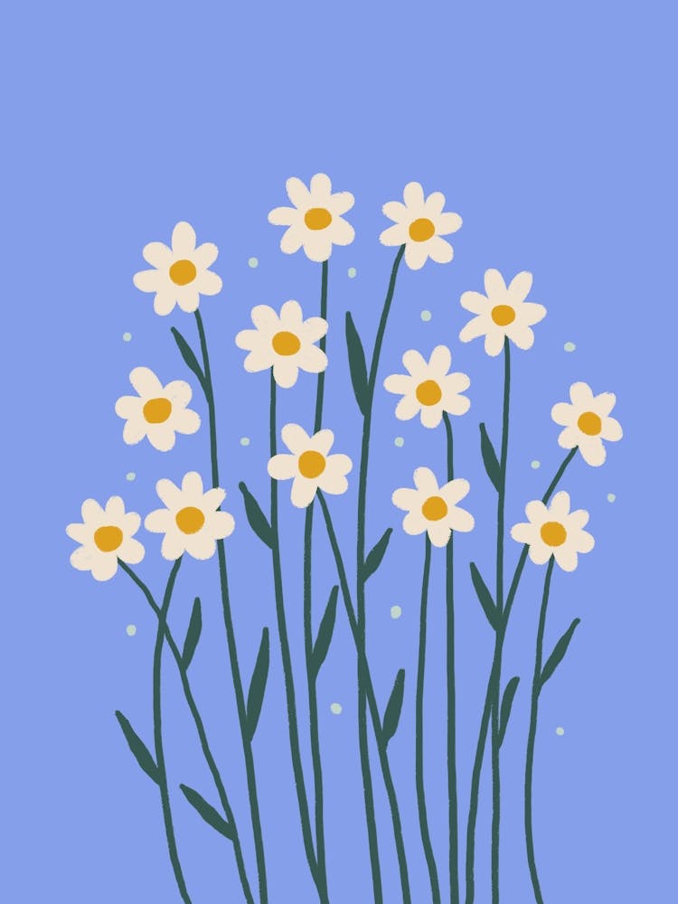 Simple Daisies