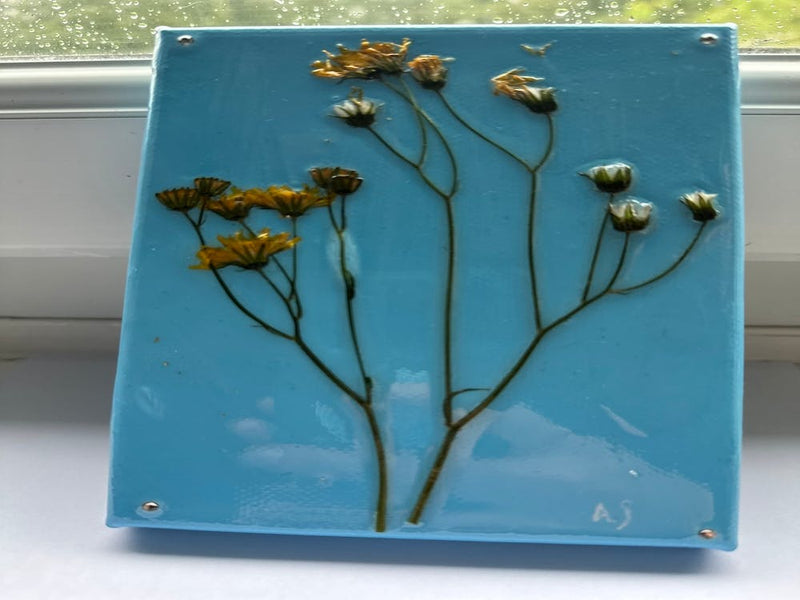Blue and yellow