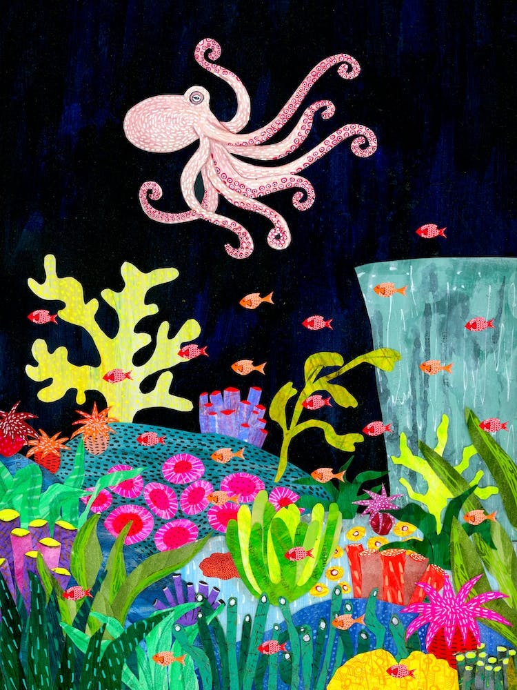 Octopus  And Coral Reef