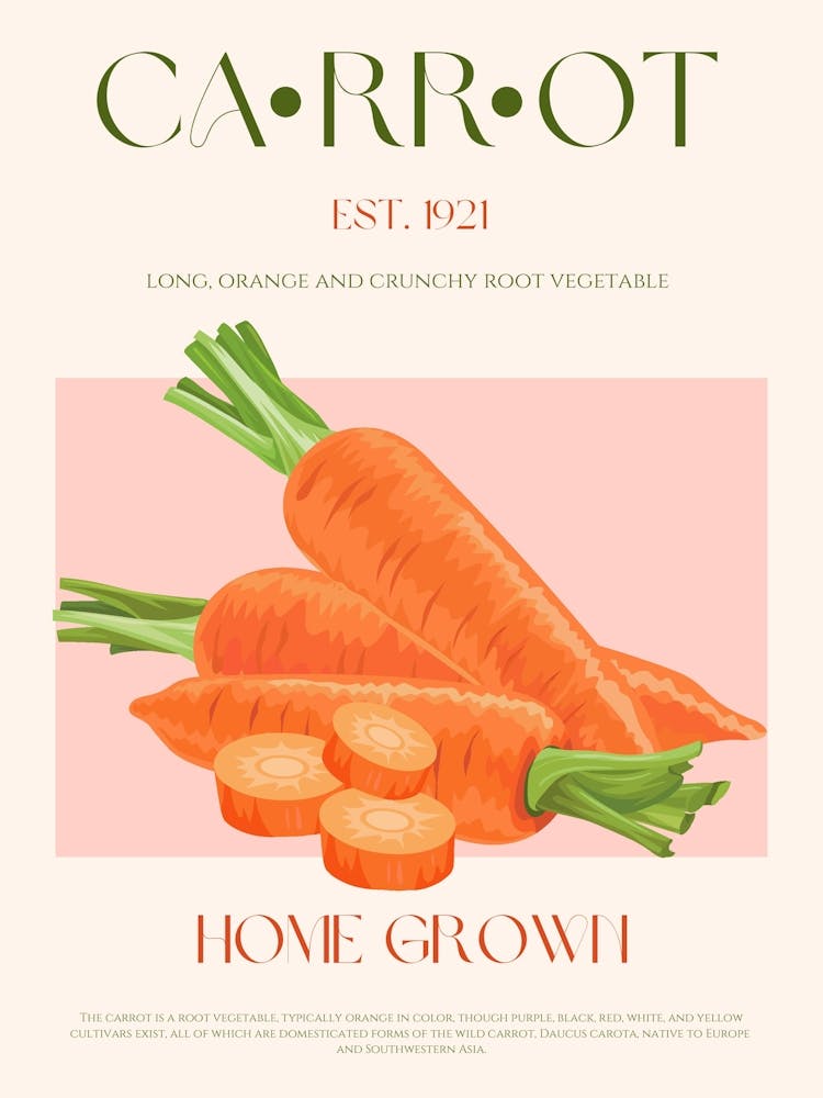 34ratiocarrotprint
