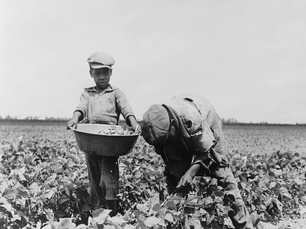 Southeast Missouri Farms, Children Of Sharecropper Picking String Beans By Russell Lee